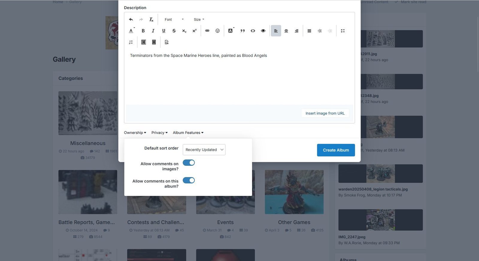 Album Features options, shown using light theme