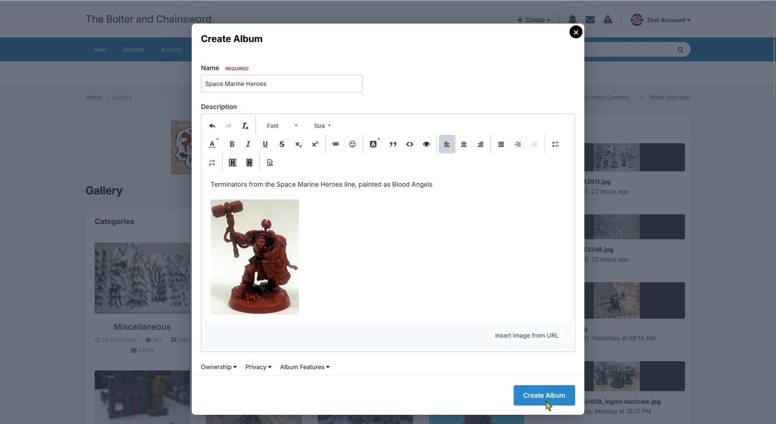 The image has been added to the album description, shown using the light theme