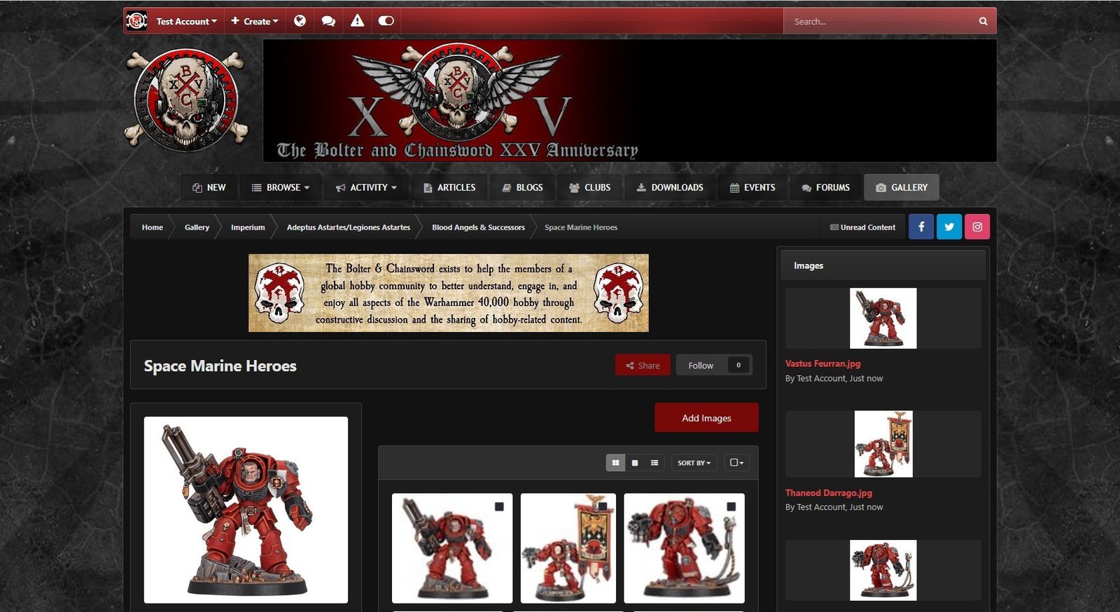 The images have been added to the album, shown using the dark theme