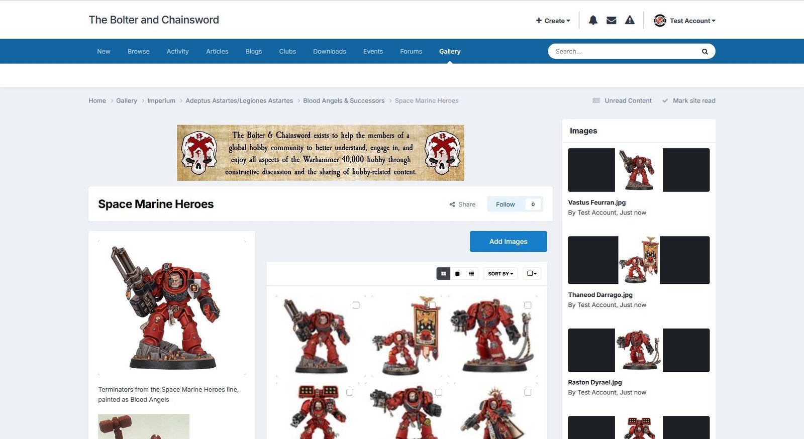 The images have been added to the album, shown using the light theme