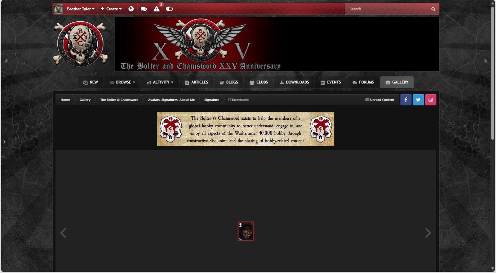 The image in the album (shown using the dark theme)