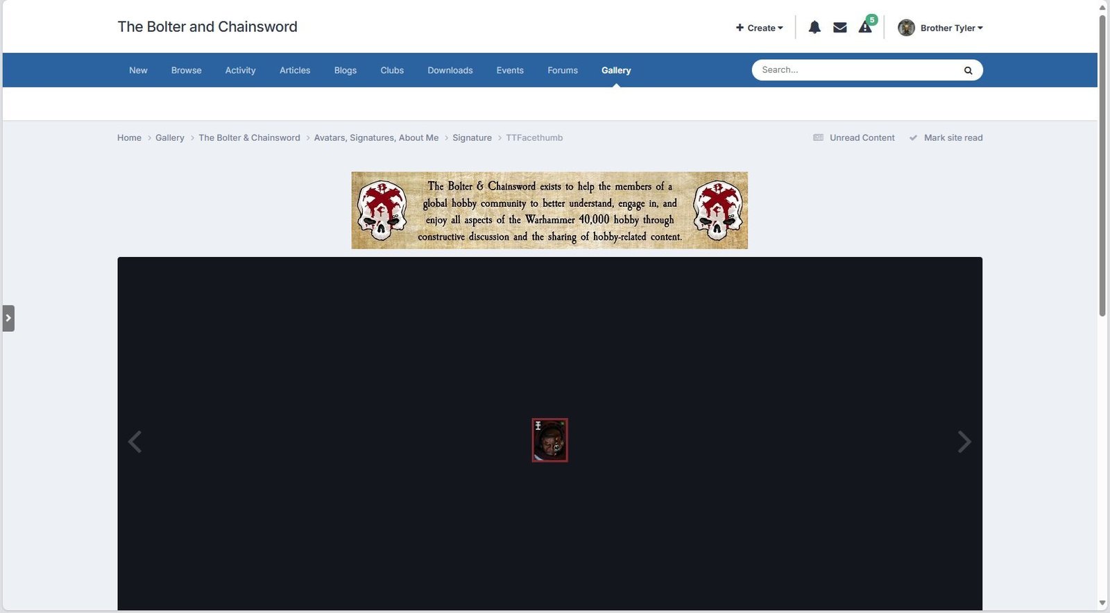 The image in the album (shown using the light theme)