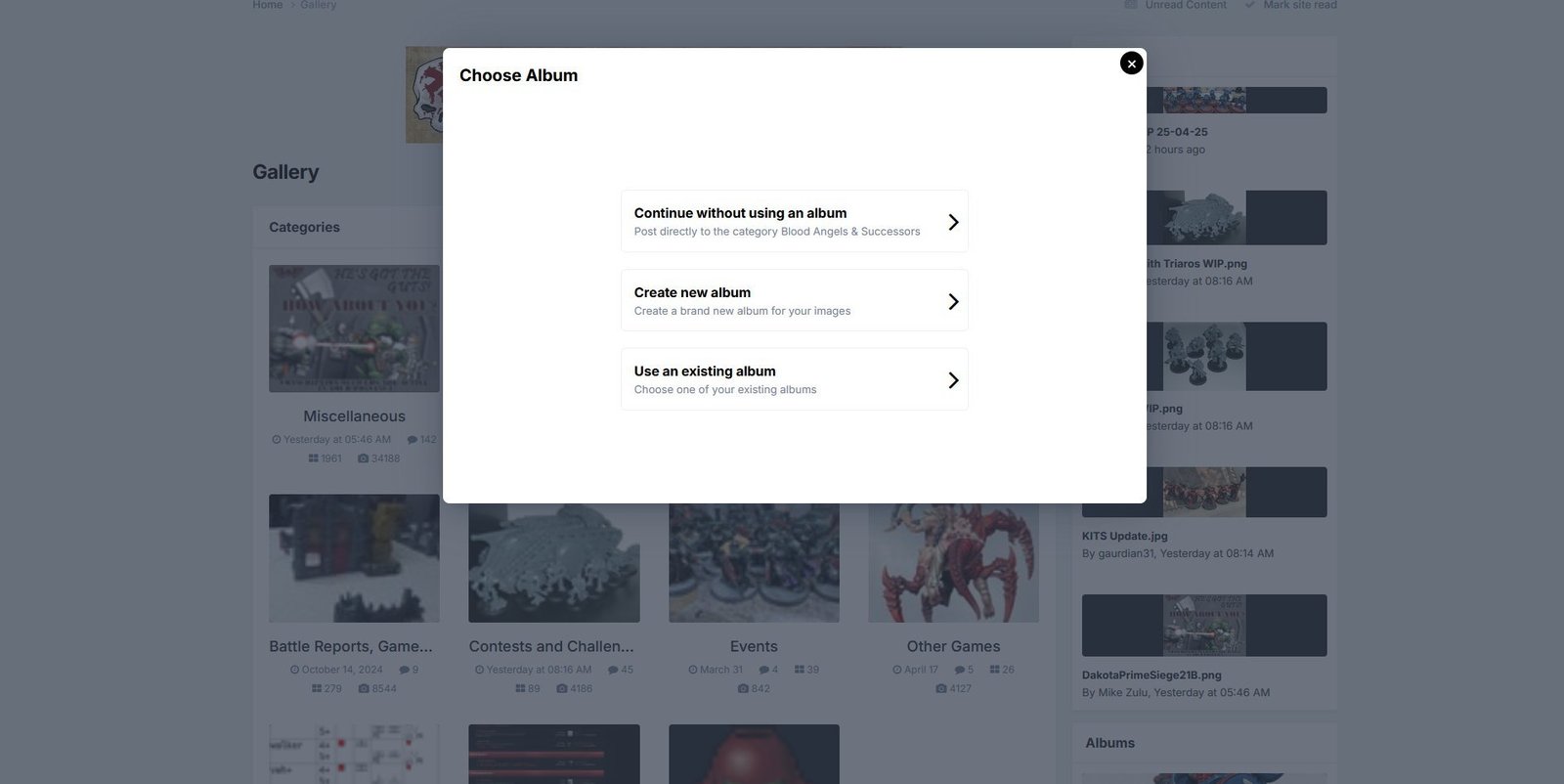 Choose Album options (shown using light theme)