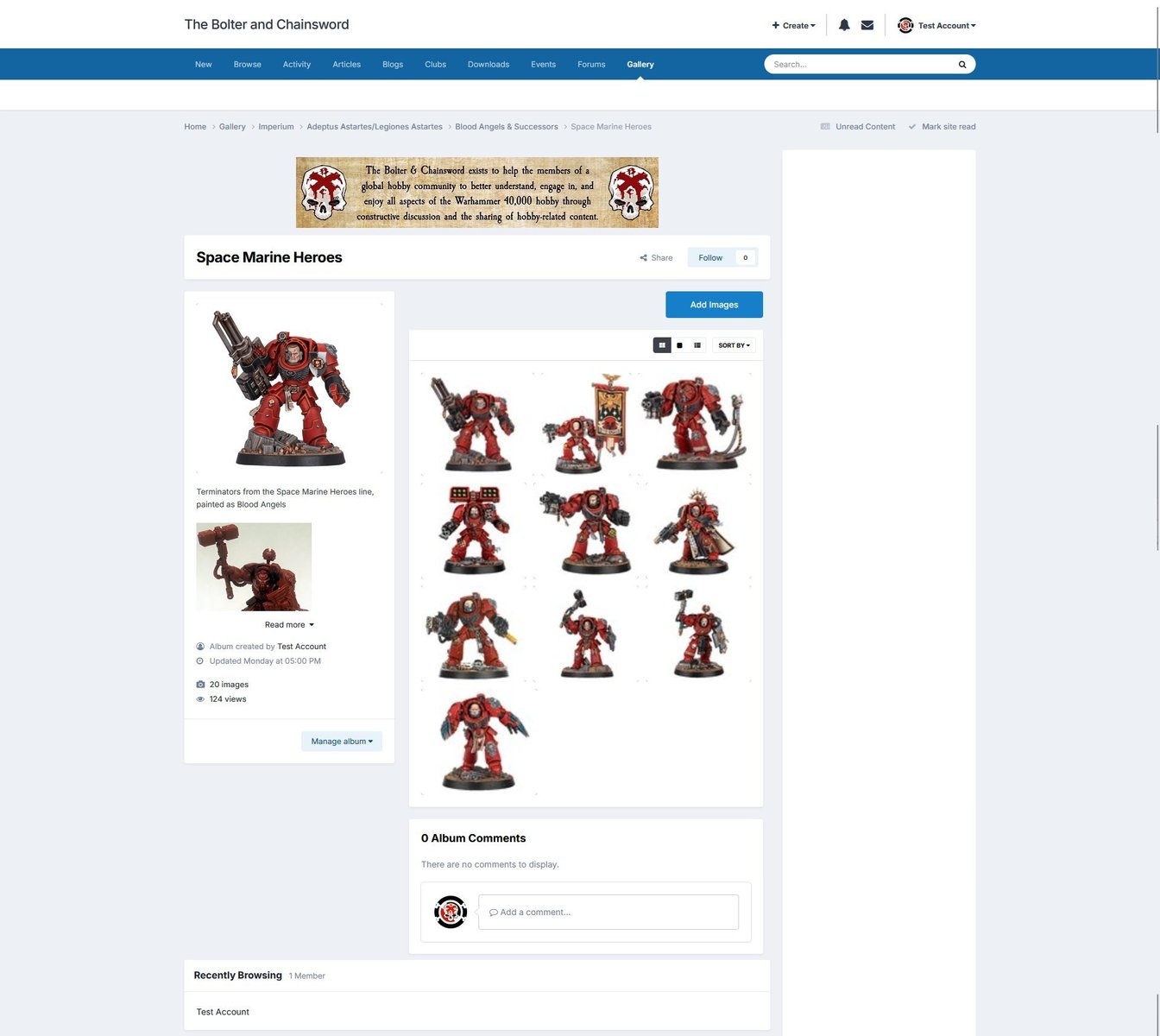 The Album page, shown using the light theme