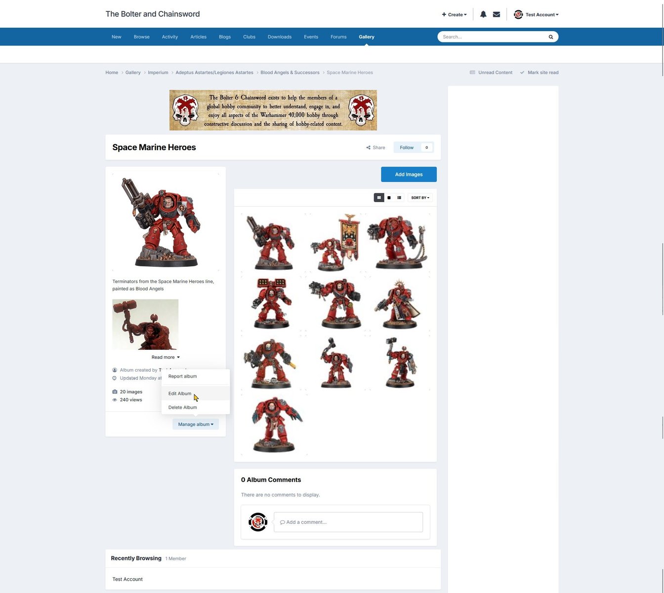 Click the Edit Album button, shown using the light theme