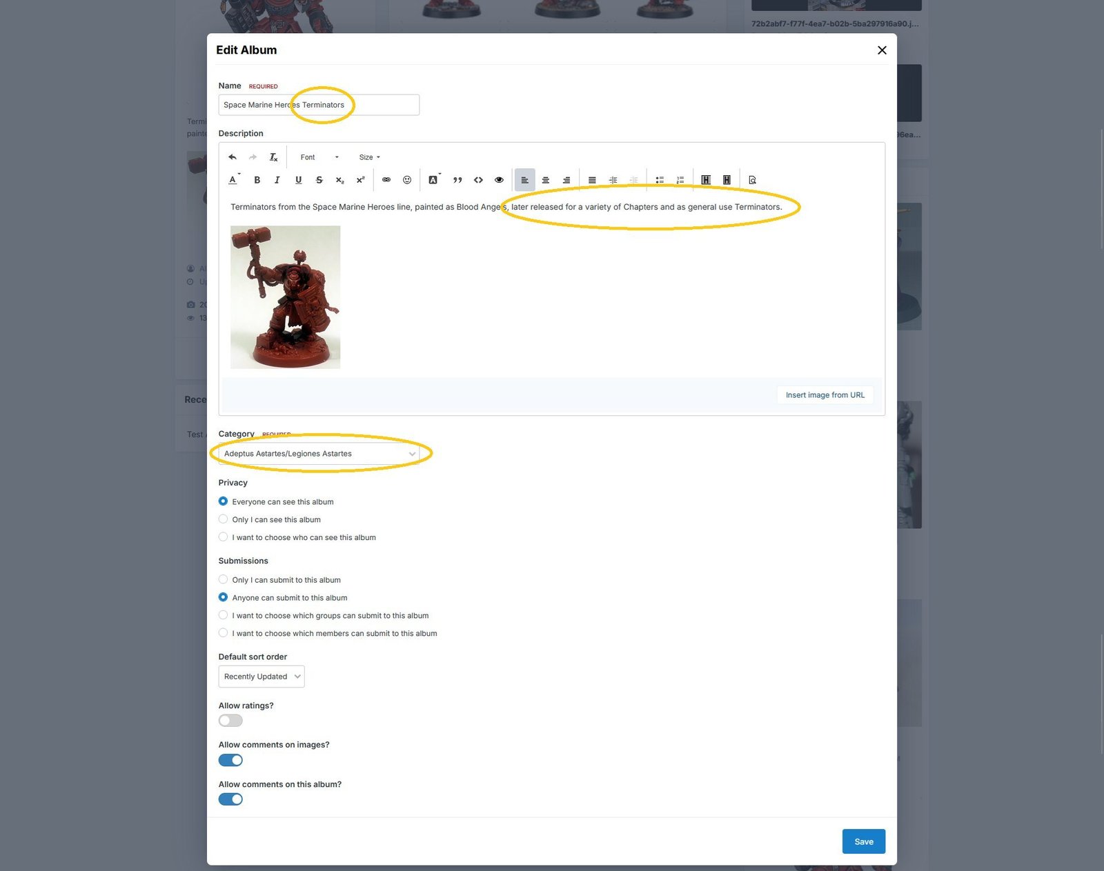 Changes made to the album name, description, and category, shown using the light theme