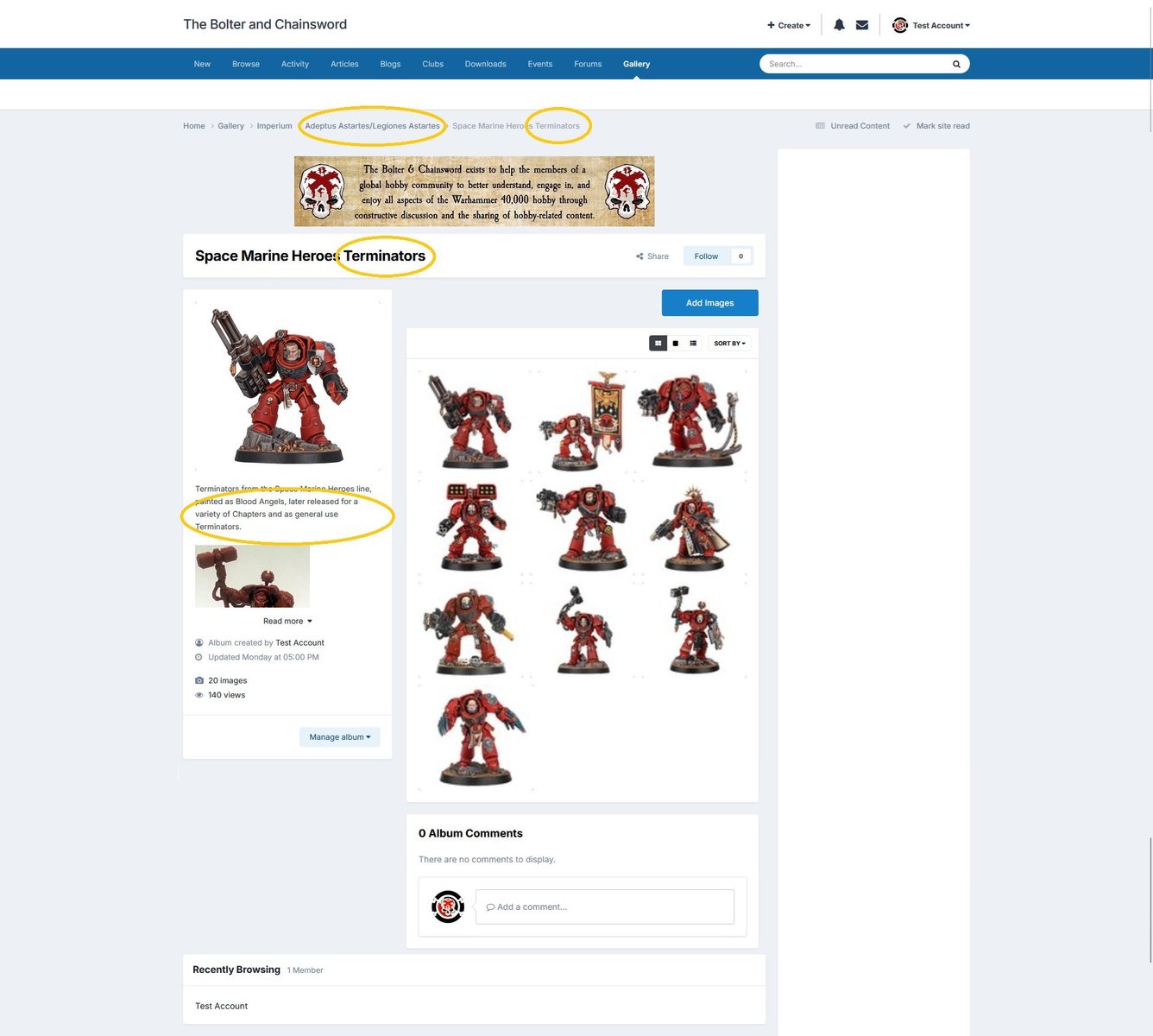 The Album page shows the changes you made, shown using the light theme