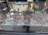 5-4-2025 Dublin 3.JPG