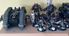 IMG_3252.jpeg