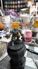 IMG_5616.jpeg