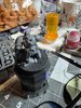 IMG_5619.jpeg