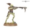 Jul 24 Kroot.jpg