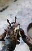 13. Dust Witch with oils.jpg