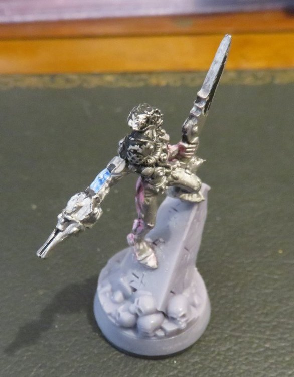harlequin01.jpeg
