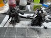 IMG_5637.jpeg