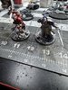 IMG_5656.jpeg