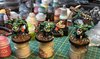Trolls_C2A25_Wip1.jpeg