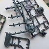 67. Rhino Gubbins.jpg