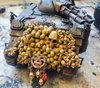69. FierFracture's Skulls Get Oil Wash.jpg