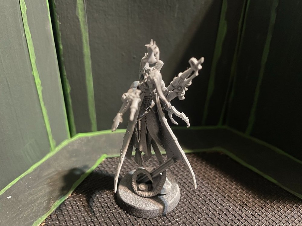Haemonculus.jpg