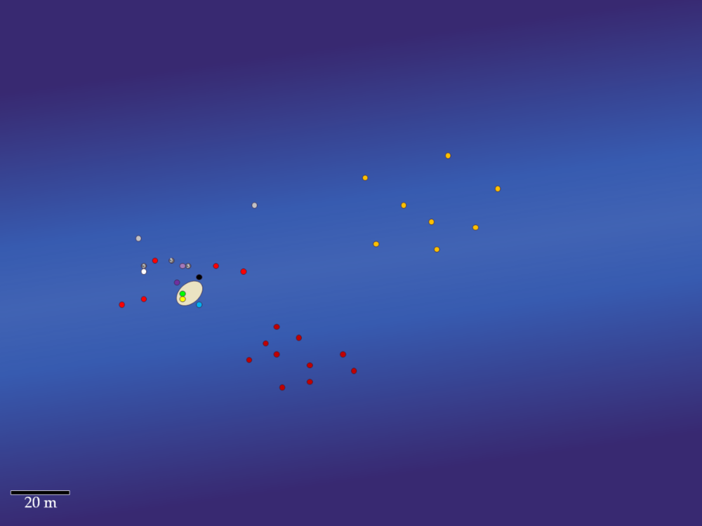 image.thumb.png.6f9891d148ee645b65540a858231f637.png