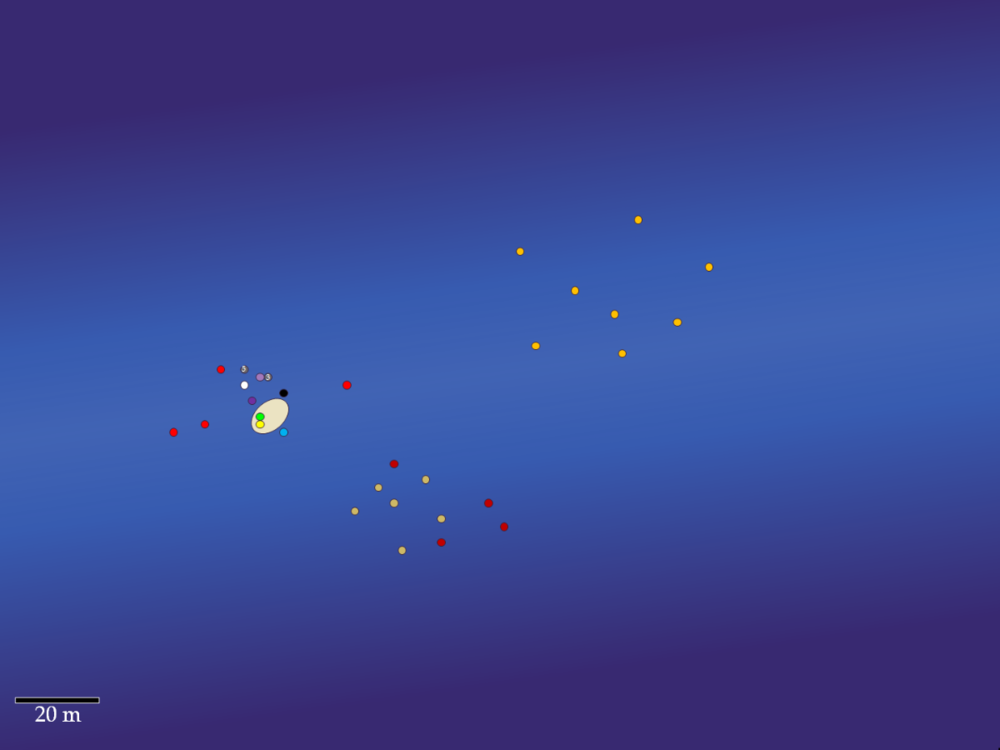 image.thumb.png.c80dfb62ab5fff76b31651b52ef185c3.png