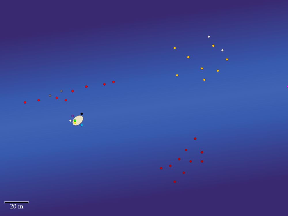 image.thumb.png.f72027c90329e2369ec1179e74326925.png
