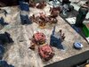2. Blood Wolves at Deployment.jpg