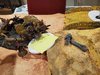 6. Svane and Bloodtongue Kill War Glaive.jpg