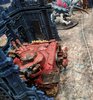 9. Ragnarok Hunts Maleceptor.jpg