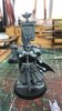 Captain WIP.JPEG