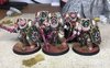 DW Knights 07.jpg