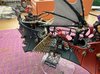 IMG_0467.jpeg