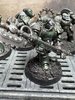 warden20250717_delegatus 4.jpg