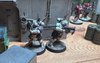 warden20250729_jade talons 8 ambush.jpg