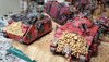 18. Both Preds WiP.jpg