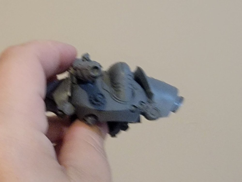 20250801_103305.thumb.jpg.d2236ba3de2ae1bdb11d0b9bfbd3c31f.jpg