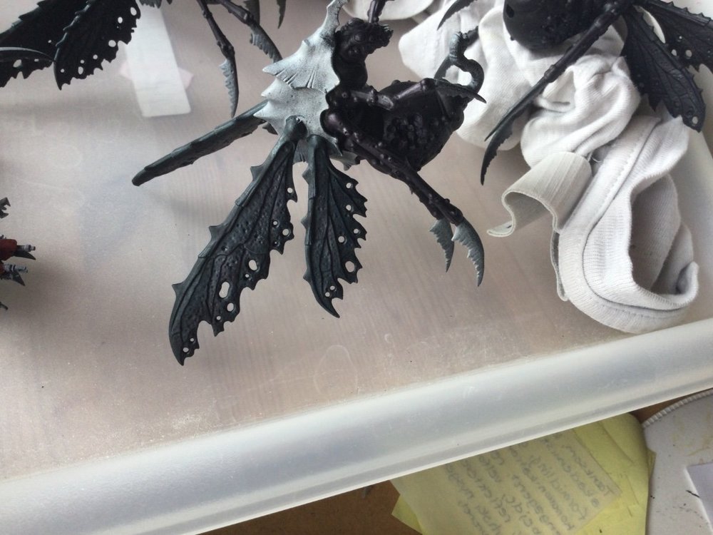 image.thumb.jpeg.32be43f20c0a5a4dedf2cdde8682fe74.jpeg
