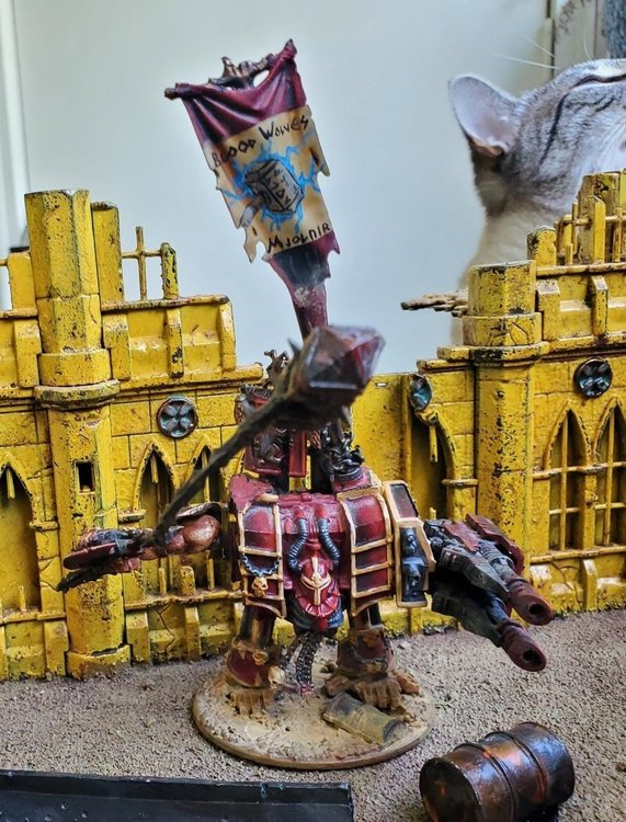 image.thumb.jpeg.80ff5960abf0154a6eee6625707d061c.jpeg