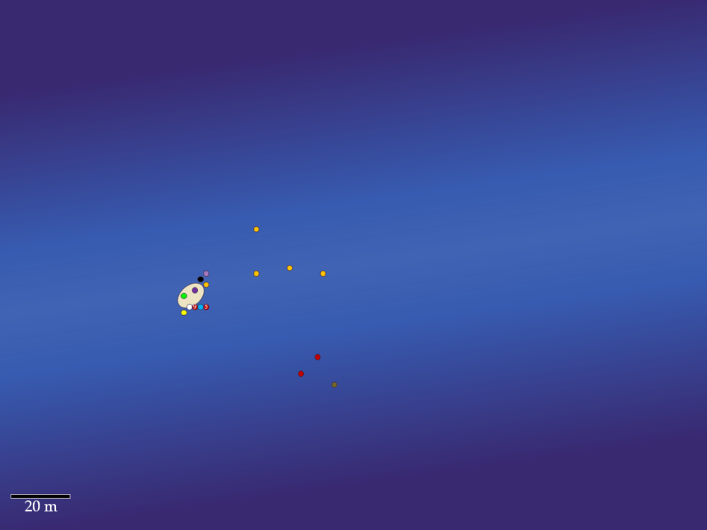 image.thumb.png.6a5132e89da34bd07ba1f53e4ab8e90d.png