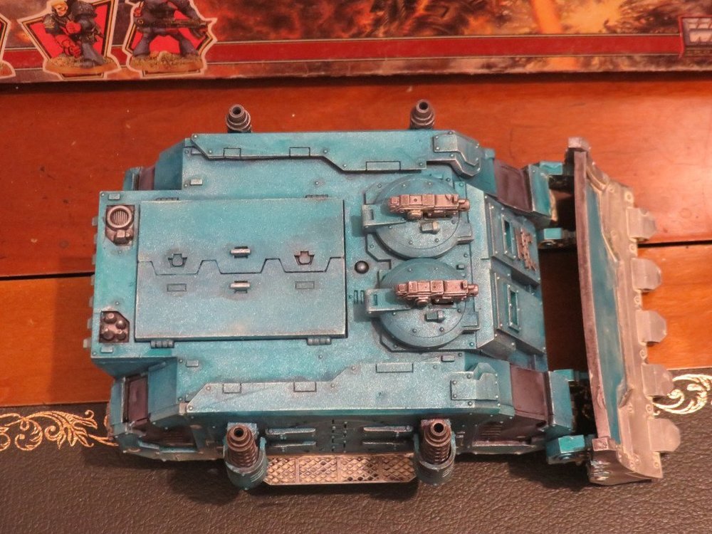 rhino1.jpeg