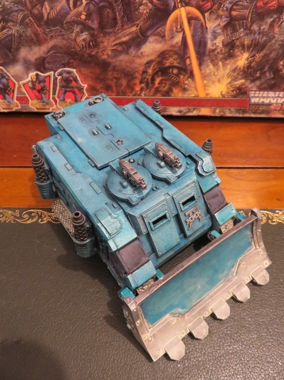 rhino3.jpeg