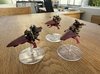 IMG_1176.jpeg