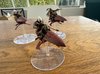 IMG_1177.jpeg