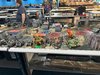 IMG_1620.jpg