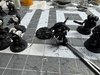 IMG_6018.jpeg