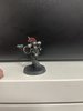 IMG_9606.jpeg