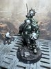 warden20250717_master of signals.jpg
