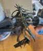 10. Scourge.jpg