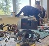 51. Three Beasts.jpg